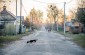 The streets of Koriukivka, which used to be a prosperous town before the war © Kate Kornberg/Yahad-In Unum